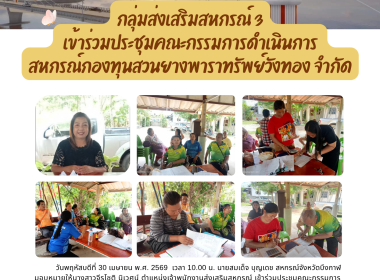กลุ่มส่งเสริมสหกรณ์ 3 ... พารามิเตอร์รูปภาพ 8